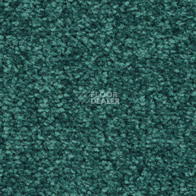 Ковролин Balsan First Class 280 фото 1 | FLOORDEALER