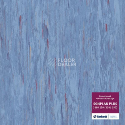 Линолеум Tarkett Somplan Plus 3380 259 (3381 259) фото 1 | FLOORDEALER