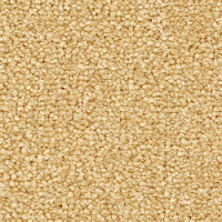 Balsan First Class 310 фото 1 | FLOORDEALER