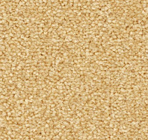 Ковролин Balsan First Class 310 фото 1 | FLOORDEALER