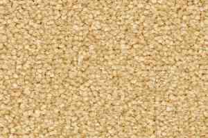 Ковролин Balsan First Class 310 фото  | FLOORDEALER