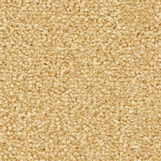 Ковролин Balsan First Class 310 фото 1 | FLOORDEALER