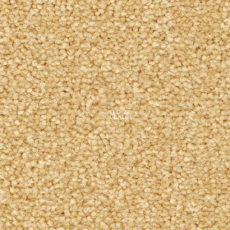 Balsan First Class 310 фото 1 | FLOORDEALER