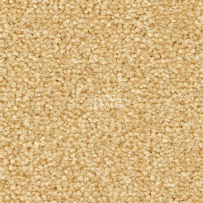 Ковролин Balsan First Class 310 фото 1 | FLOORDEALER