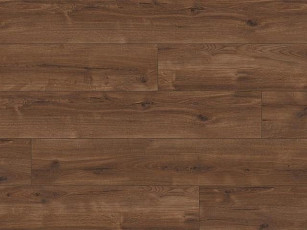 Ламинат My Step Grande XXL 10мм Секвойя (Segovia) 62974 фото 1 | FLOORDEALER