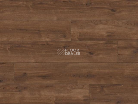 Ламинат My Step Grande XXL 10мм Секвойя (Segovia) 62974 фото 1 | FLOORDEALER