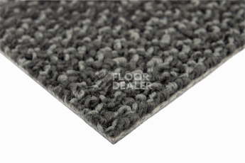Neuflor Sandunes 300501 фото 4 | FLOORDEALER