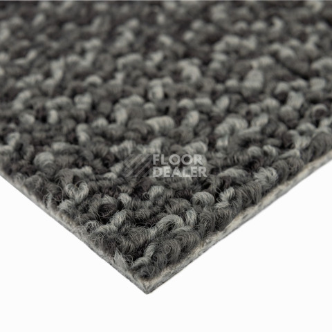 Neuflor Sandunes 300501 фото 4 | FLOORDEALER