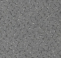 Ковролин Vorwerk Passion 1047 Vorwerk 5x53 фото 1 | FLOORDEALER