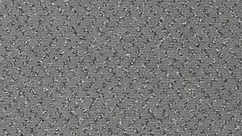 Ковролин Vorwerk Passion 1047 Vorwerk 5x53 фото 1 | FLOORDEALER