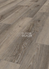 Ламинат Terhurne Dureco Classic Line 2815 / a10 Дуб Тень-серый фото 1 | FLOORDEALER
