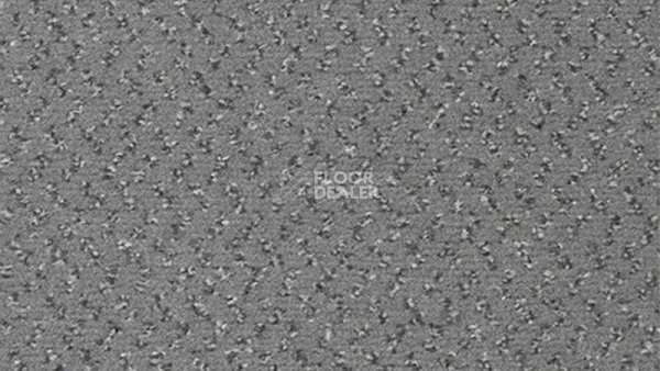 Ковролин Vorwerk Passion 1047 Vorwerk 5x53 фото 1 | FLOORDEALER