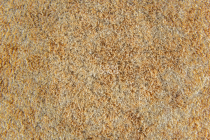 Flotex Colour s 290006 Calgary Sahara фото 2 | FLOORDEALER