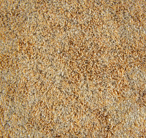 Flotex Colour s 290006 Calgary Sahara фото 2 | FLOORDEALER