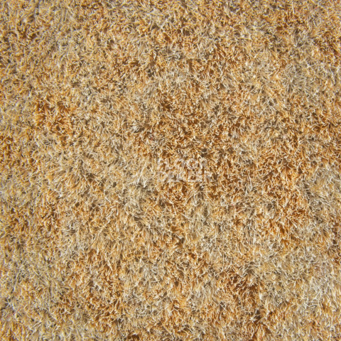Forbo Flotex Colour s 290006 Calgary Sahara фото 2 | FLOORDEALER
