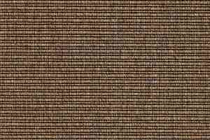 Ковролин Carpet Concept Eco 2 6705 фото  | FLOORDEALER