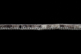 Balsan Charm 633 фото 4 | FLOORDEALER