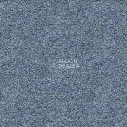 Ковролин Tapibel Spirit 8861 фото 1 | FLOORDEALER