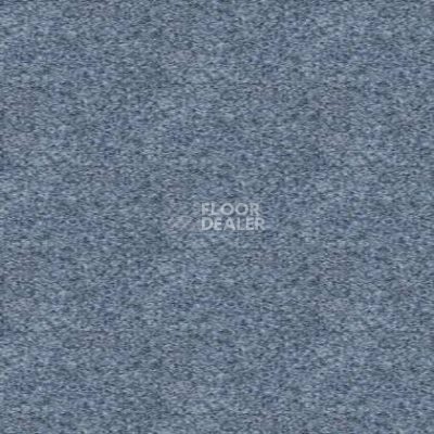 Ковролин Tapibel Spirit 8861 фото 1 | FLOORDEALER