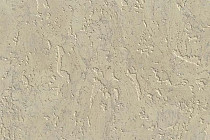 Пробковое покрытие Corkstyle Mountain настенное SINAI фото 1 | FLOORDEALER