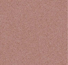 Линолеум Grabo Terrana Top Extra 4564-292 фото 1 | FLOORDEALER