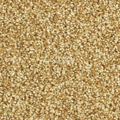 Ковролин Balsan Script 380 фото 1 | FLOORDEALER