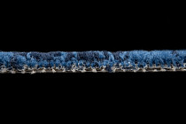 Innova Мираж q 488 06 фото 5 | FLOORDEALER