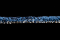 Innova Мираж q 488 06 фото 5 | FLOORDEALER