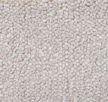 Ковролин AW Prima AW Prima 35 фото 1 | FLOORDEALER