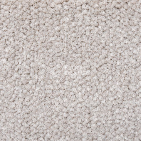 Ковролин AW Prima AW Prima 35 фото 1 | FLOORDEALER