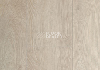 Ламинат My Floor Residence 10мм ML1012 Дуб Макро Светлый фото 1 | FLOORDEALER
