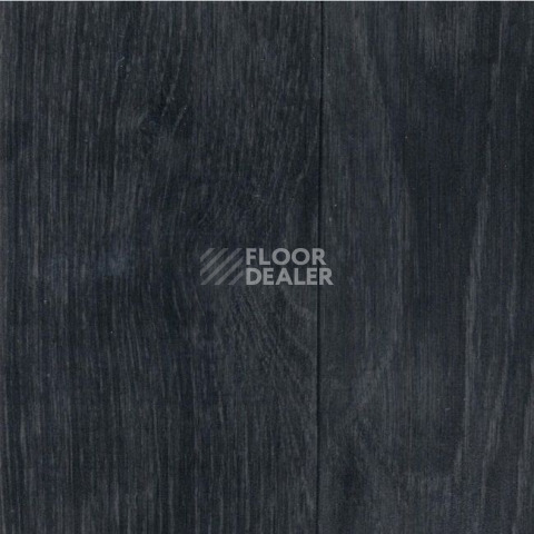 Линолеум Grabo Silver Knight Acoustic 7 1243_384_869_275 фото 1 | FLOORDEALER