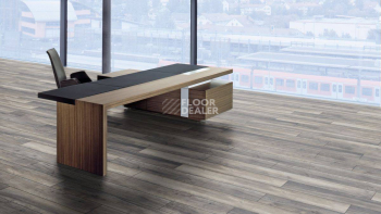 Kronotex Robusto 12мм d3572 Дуб Портовый Серый фото 21 | FLOORDEALER