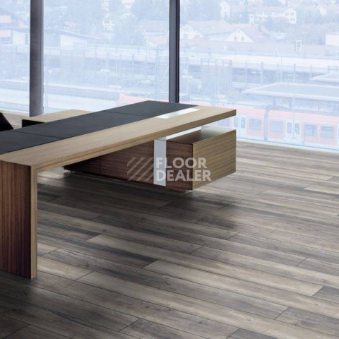 Kronotex Robusto 12мм d3572 Дуб Портовый Серый фото 21 | FLOORDEALER