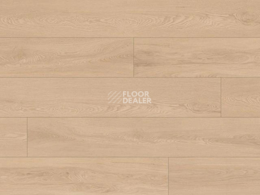 Ламинат My Step Grande XXL 10мм Шенбрунн (Schonbrunn) 62968 фото 1 | FLOORDEALER