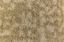 Flotex Colour Metro 5050 t 546012 Metro Sand фото 3 | FLOORDEALER