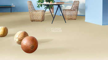 Vorwerk Superior 1049 Vorwerk 6c83 фото 2 | FLOORDEALER