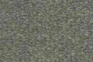 Ковролин Shaw Bradberry 30 637 фото  | FLOORDEALER