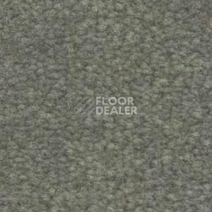 Ковролин Shaw Bradberry 30 637 фото 1 | FLOORDEALER