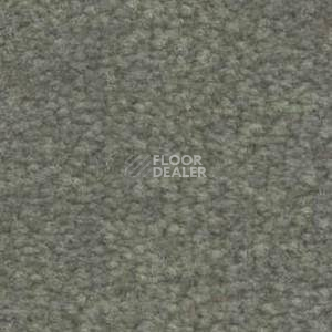 Ковролин Shaw Bradberry 30 637 фото 1 | FLOORDEALER