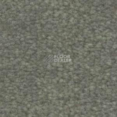 Ковролин Shaw Bradberry 30 637 фото 1 | FLOORDEALER