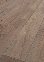 Ламинат Terhurne Trend Line 243мм 1915 Дуб Виски Лаундж 1101020900 фото 1 | FLOORDEALER