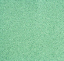 Линолеум Lg Calmpasso CP 93405 фото 1 | FLOORDEALER