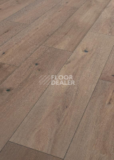 Ламинат Terhurne Trend Line 243мм 1915 Дуб Виски Лаундж 1101020900 фото 1 | FLOORDEALER