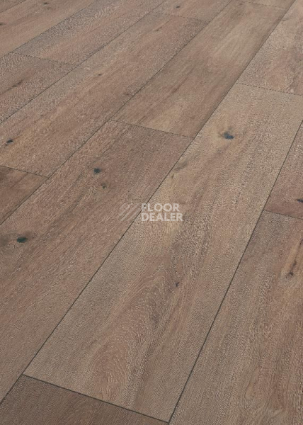 Ламинат Terhurne Trend Line 243мм 1915 Дуб Виски Лаундж 1101020900 фото 1 | FLOORDEALER