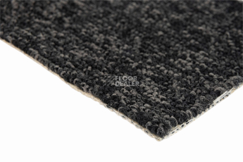 Big  Studio 161 фото 4 | FLOORDEALER