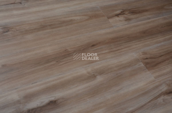 Evofloor Optima Click 4.2мм Груша Карамель фото 4 | FLOORDEALER