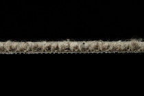 Creatuft Alfa Alfa 40 фото 4 | FLOORDEALER