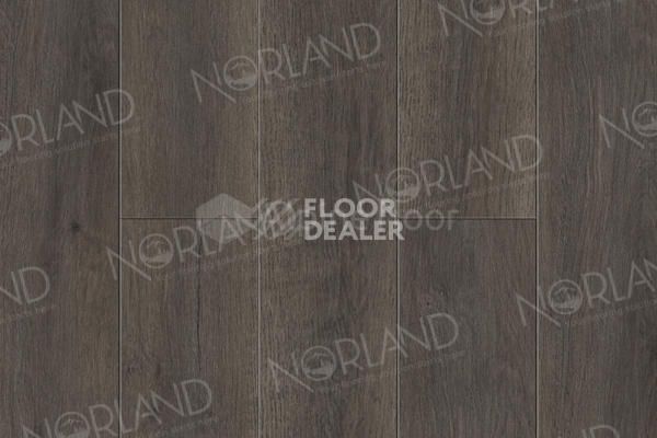Виниловая плитка ПВХ Norland Sigrid Superior 8мм Blake 1008-2 ABA фото 1 | FLOORDEALER