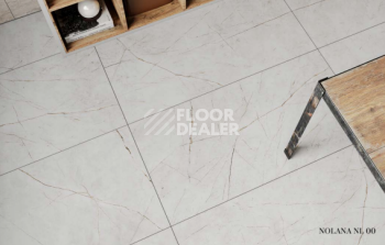 Nolana ( Нолана ) 60 x 60 x10 NL02 фото 3 | FLOORDEALER